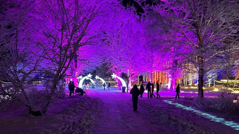 Lichterzauber Beelitz – Arbeiten im Wintermärchen  